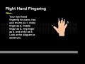 piano lesson 1 1   fingering and hand position