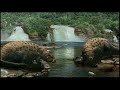 Dinosaur: The Egg Travels Dinosaur: The Egg Travels