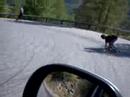 Freebord Mountain Ride S�lden 1