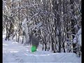 pierwszy  ?nieg