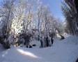 pierwszy śnieg