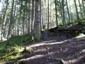 QoF: Bikepark Wagrain
