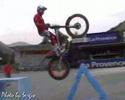 Best Of Toni Bou