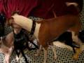 videos de MVI_3917.AVI