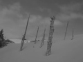 CRUSTY BAY 5 TRAILER - OREGON DUNES