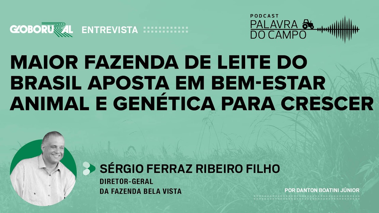 Maior fazenda de leite do Brasil aposta em bem-estar e genética para crescer - Palavra do Campo