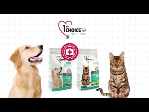 1ST CHOICE CAT ADULT WEIGHT CONTROL FORMULA CHICKEN 2.72kg 4bags/outer 