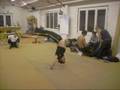 promo capoeira halle