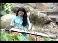 Beauty Plays Traditional Vietnamese Music
