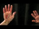 Butterballs: Episode 1 - \"On A Hand\" Butterballs: Episode 1 - \"On A Hand\"