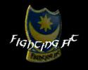 fighting fit
