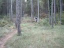 Descens torregassa-solsona