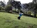 deboca no ch�o