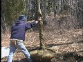 Tripple Brook Farm tree digging system (tree spade)