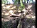 bike crash my mate think he was a PRO BIKER yr right PRO CRASHER.mp4