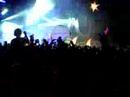 Rabbit in the moon UMF 10 2008