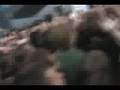 Mayhem-Festival-Toro