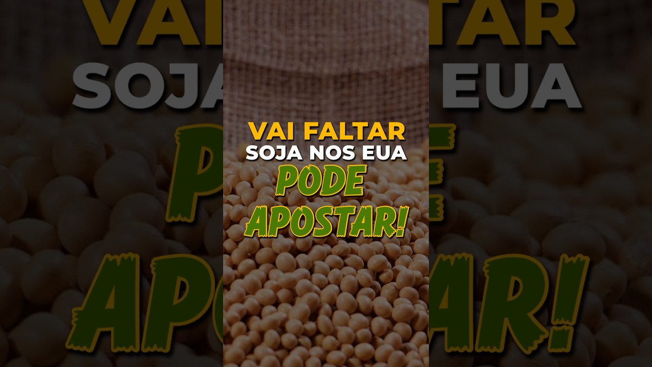 VAI FALTAR SOJA NOS EUA. PODE APOSTAR!