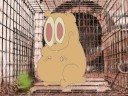 poops the hamster