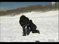 owned by a sled owned by a sled