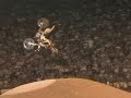 Travis Pastrana