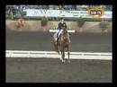 Showjumping Unplugged!TV- Evening of Musical Freestyles Showjumping Unplugged!TV- Evening of Musical Freestyles
