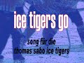 ice tigers go