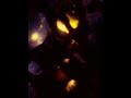DJ-Cesinha-Electro-H