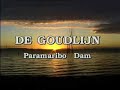 de goudlijn paramaribo   dam : reisverhalen