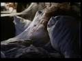 Assistir ao v�deo