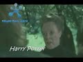 HARRY POTTER EN  LA PAJA ETERNA