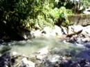 RIO en Tingomaria