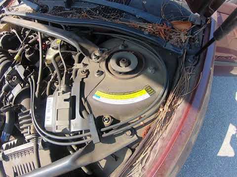 How to locate your cars VIN, engine size and family,...