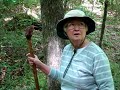 Old Hackett Farm Stewardship Visit 5 13 8