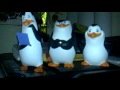 pinguinos de madagascar