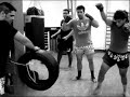 club a r k calahorra kickboxing
