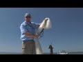 Class Action! CHEW ON THIS Fishing Show with Capt Chancey