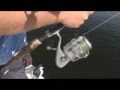 Class Action! CHEW ON THIS Fishing Show with Capt Chancey