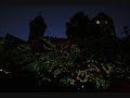 Blaue Nacht Blaue Nacht