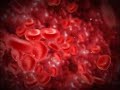 blood_cells