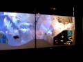 Göteborg Xmas Window Display