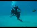 Aruba Video