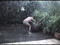 Dad under the rain Dad under the rain