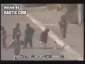 fat don rules the streets! fat don rules the streets!