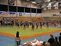 Haninge Cheer Elite Jr A