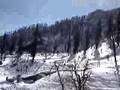 paragliding