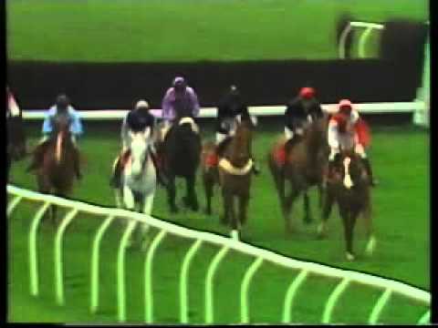 racing post racing post