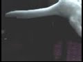 Thomas & Molly (Thomas Tail Tease)