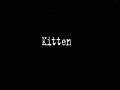 kitten
