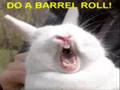 Do a barrel roll